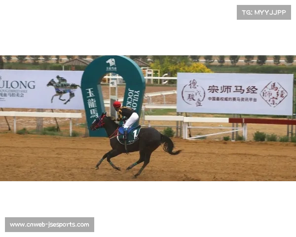 玉龙拍卖会流拍马匹重估价值 玉龙驰冠赛场新机遇探讨